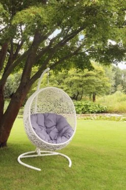 Beroemde Tuinmeubel Winkel 31 Beroemde Tuinmeubel Winkel -Beroemde Tuinmeubel Winkel royal seasons vogelnest deluxe hangstoel wit 3456x5184 621cc3eaaeaf8 l